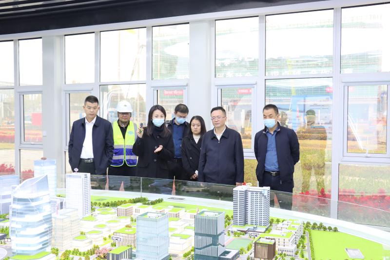2022年11月，岳陽市人大常委會副主任喻文赴岳陽自貿(mào)片區(qū)產(chǎn)業(yè)綜合體項目調(diào)研