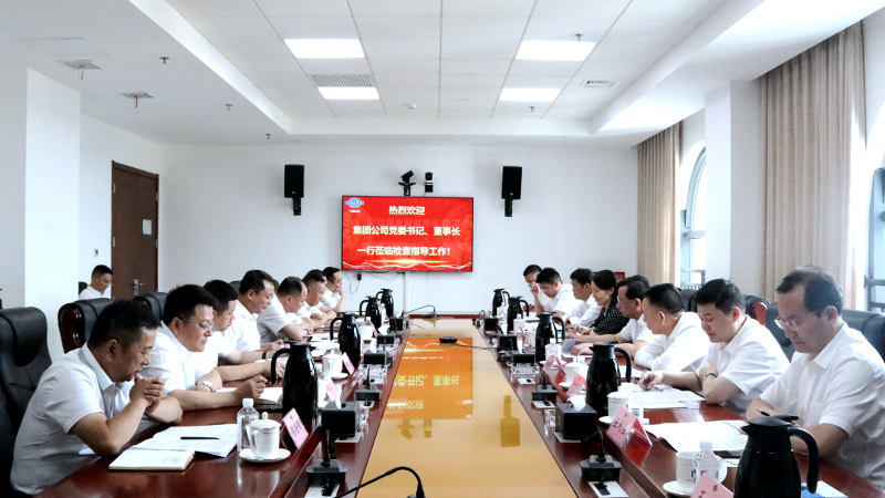2022年6月，集團公司黨委書記、董事長戴和根一行到公司調(diào)研指導(dǎo)工作