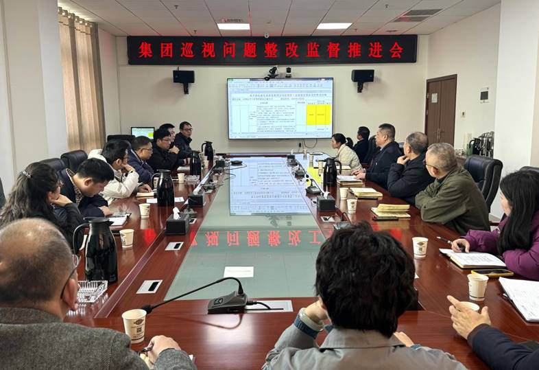公司紀(jì)委召開集團巡視問題整改監(jiān)督推進會