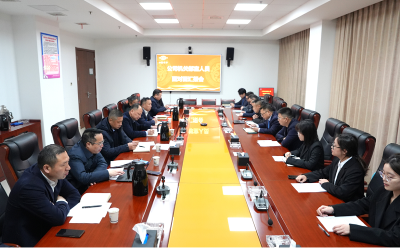梳理問題精準(zhǔn)把脈  深化管控助力發(fā)展 | 公司舉行2025年機(jī)關(guān)管理人員面對面匯報(bào)會(huì)