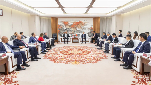 中國化學(xué)與埃及石化控股公司交流座談